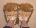 lion slippers.jpg