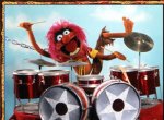 Animal-rockin-on-the-drums.jpg