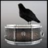 Raven Drums